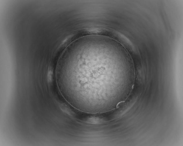 X0000110770596200906151327