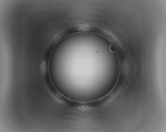 X0000110770598200906151327