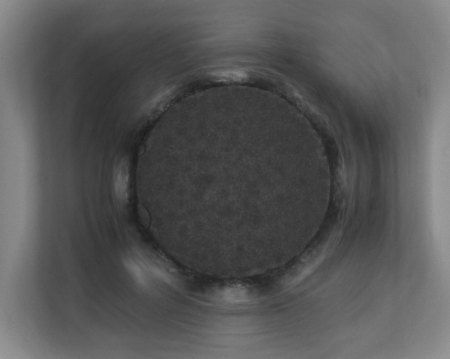 X0000110770600200906151327