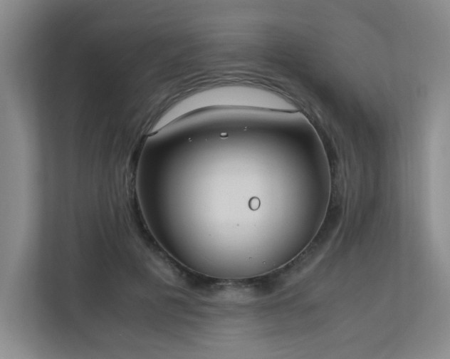 X0000110770601200906151327