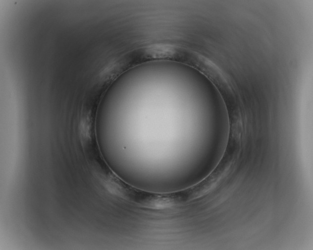 X0000110770604200906151327