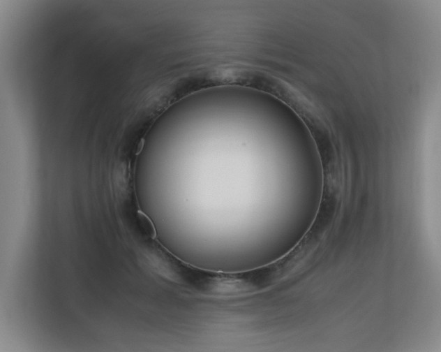 X0000110770605200906151327