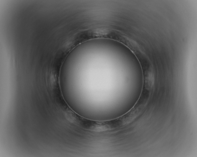 X0000110770608200906151327