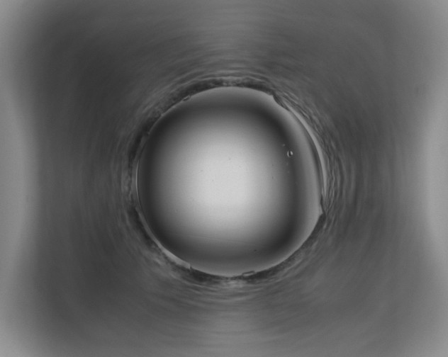 X0000110770609200906151327