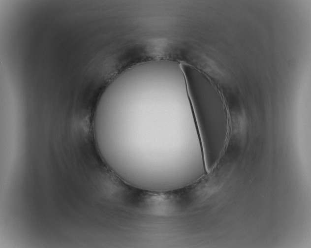 X0000110770611200906151327