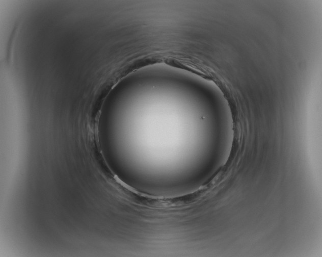 X0000110770613200906151327