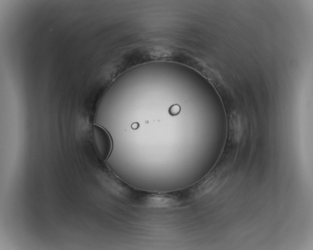 X0000110770614200906151327