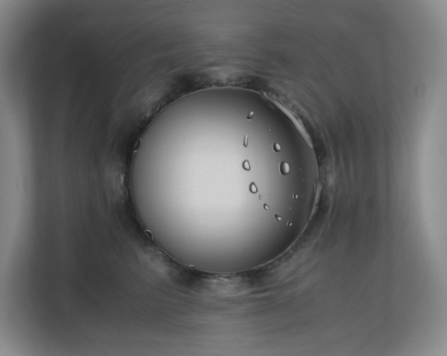 X0000110770615200906151327