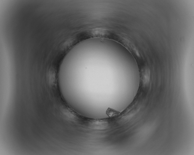 X0000110770619200906151327