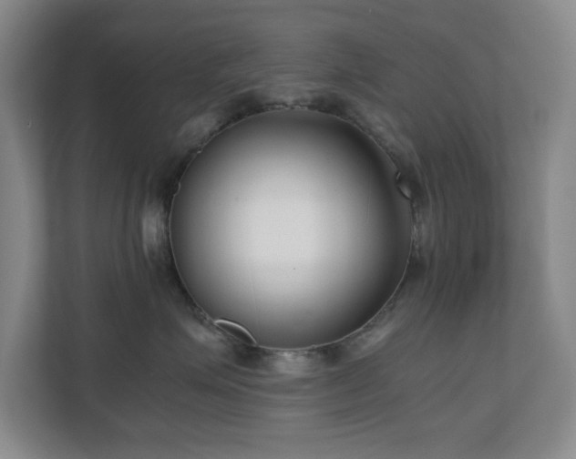 X0000110770623200906151327