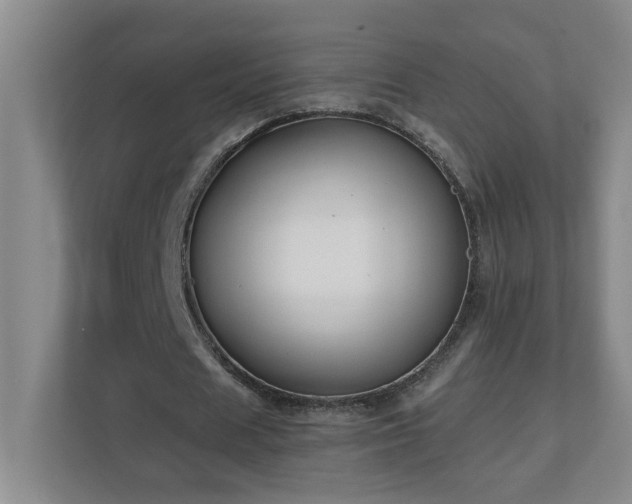 X0000110770625200906151326