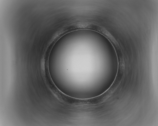 X0000110770626200906151326