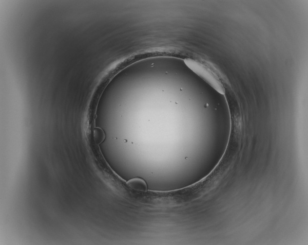 X0000110770628200906151326