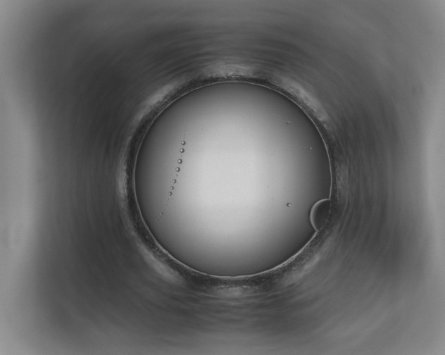 X0000110770629200906151326