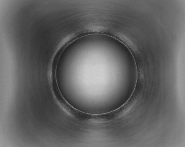 X0000110770630200906151326