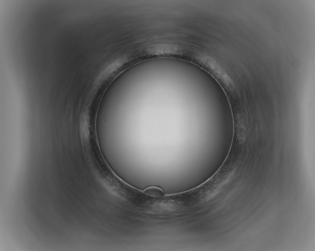 X0000110770631200906151326