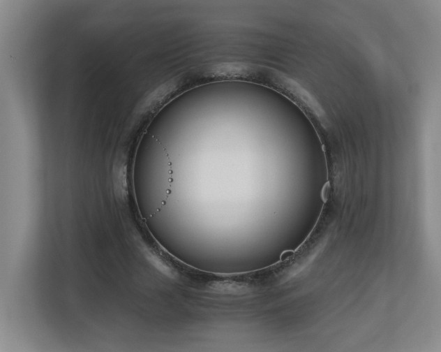 X0000110770633200906151326