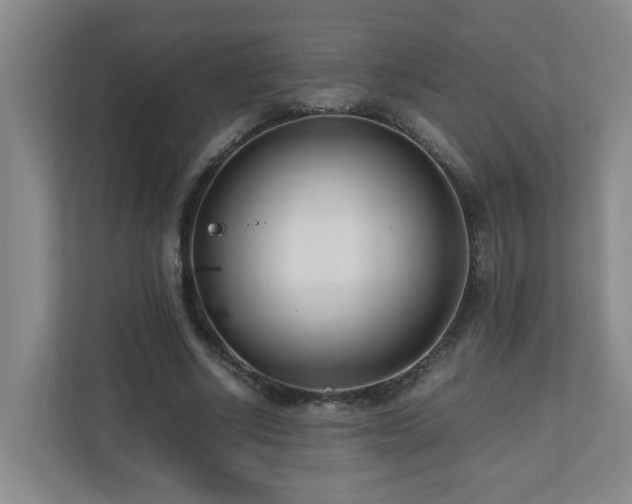 X0000110770634200906151326