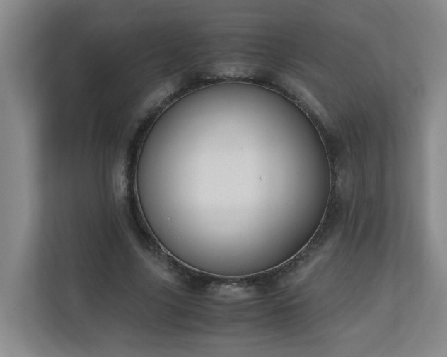 X0000110770635200906151326