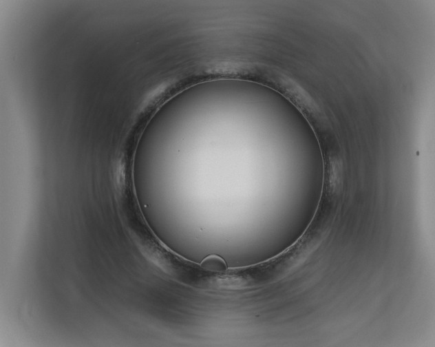 X0000110770636200906151326