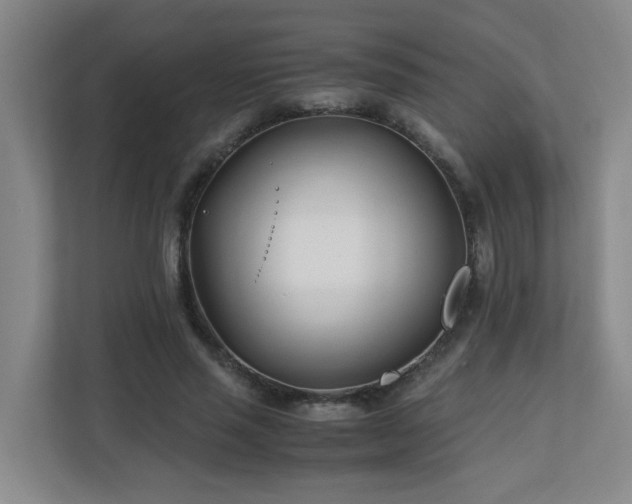 X0000110770637200906151326