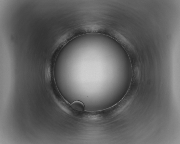 X0000110770638200906151326