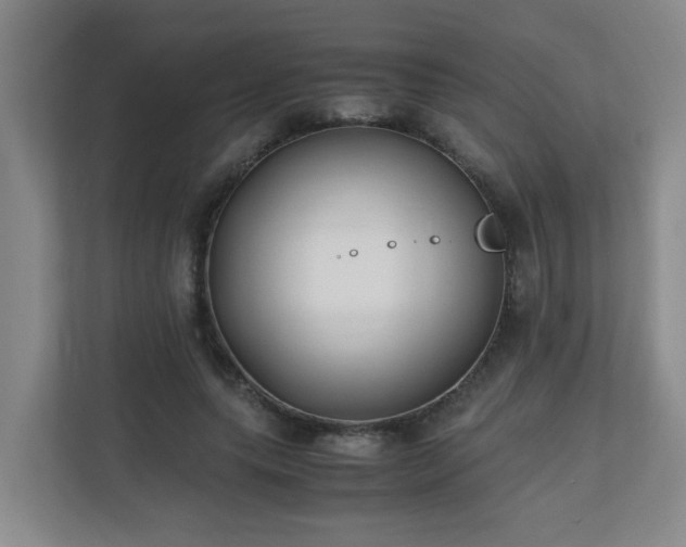 X0000110770639200906151326