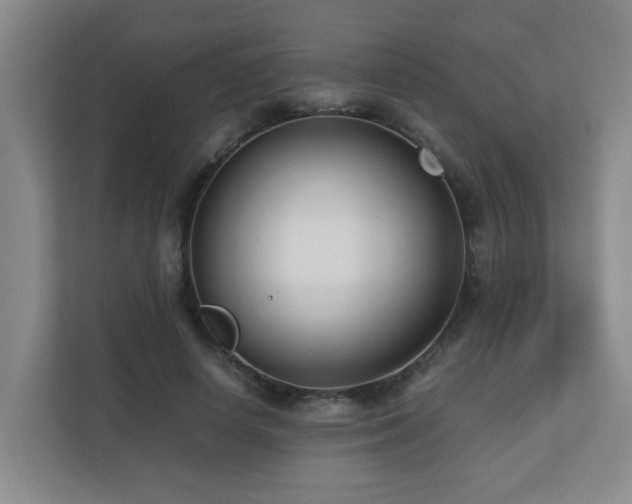 X0000110770642200906151326