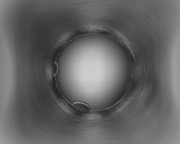 X0000110770644200906151326