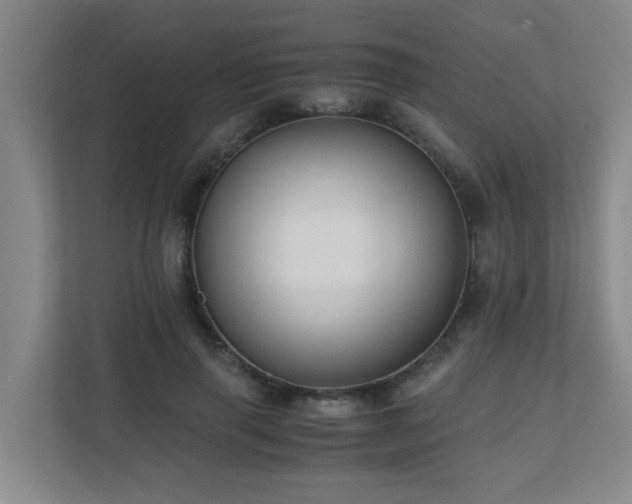 X0000110770645200906151326