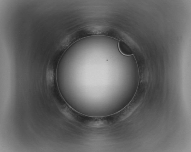 X0000110770646200906151326