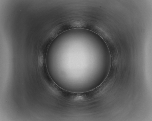 X0000110770647200906151326