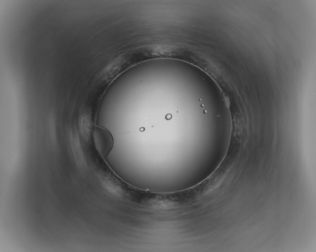 X0000110770648200906151326