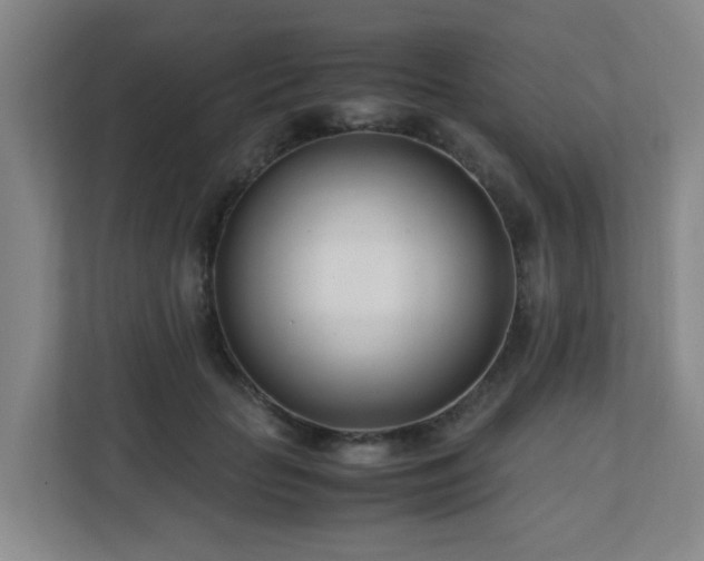 X0000110770653200906151327