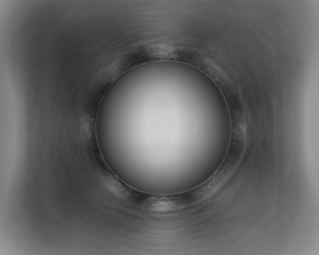 X0000110770658200906151327