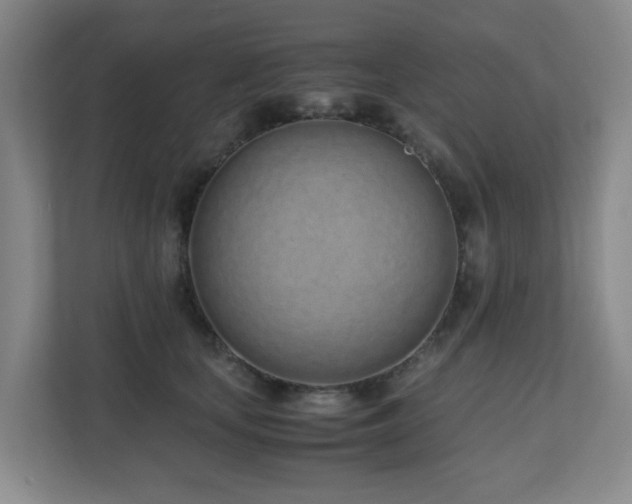 X0000110770659200906151327