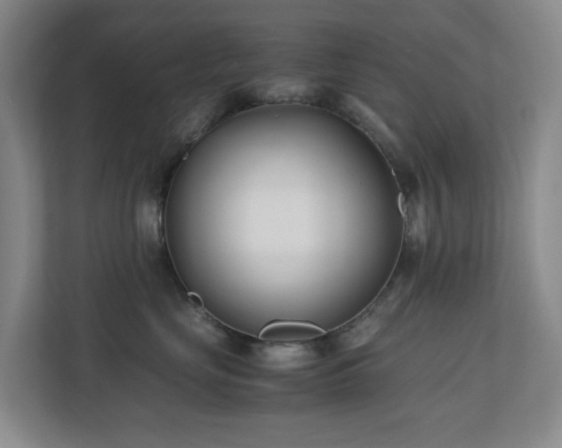 X0000110770669200906151327