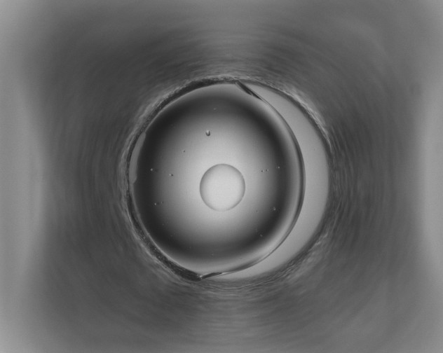 X0000110770673200906151326