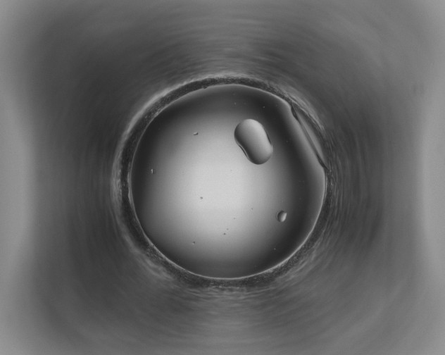 X0000110770676200906151326