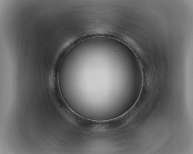 X0000110770680200906151326