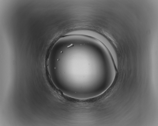 X0000110770681200906151326