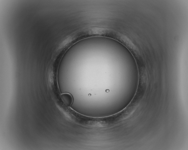 X0000110770683200906151326