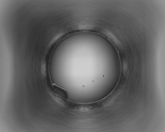 X0000110770684200906151326