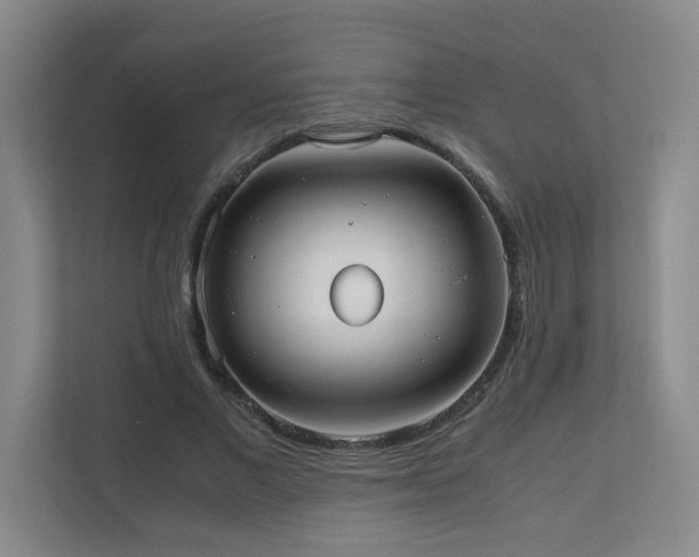 X0000110770685200906151326