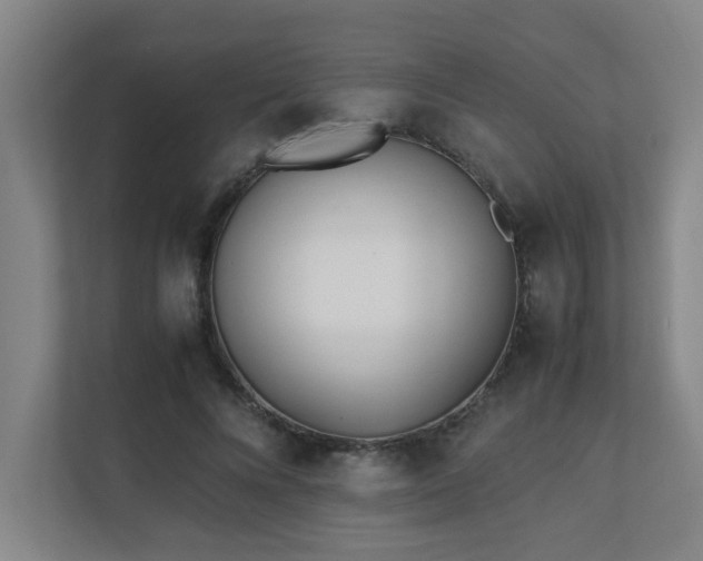 X0000110770688200906151326