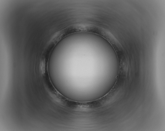 X0000110770694200906151326