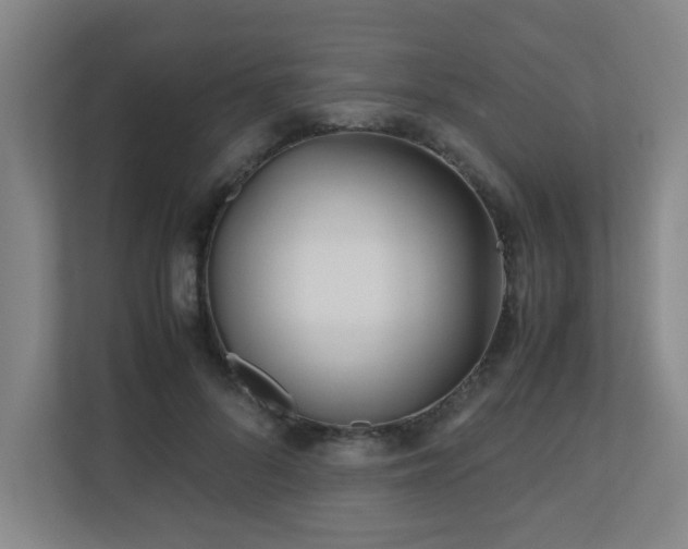 X0000110770696200906151326