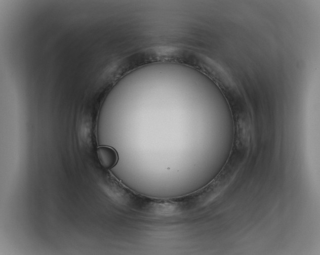 X0000110770698200906151326