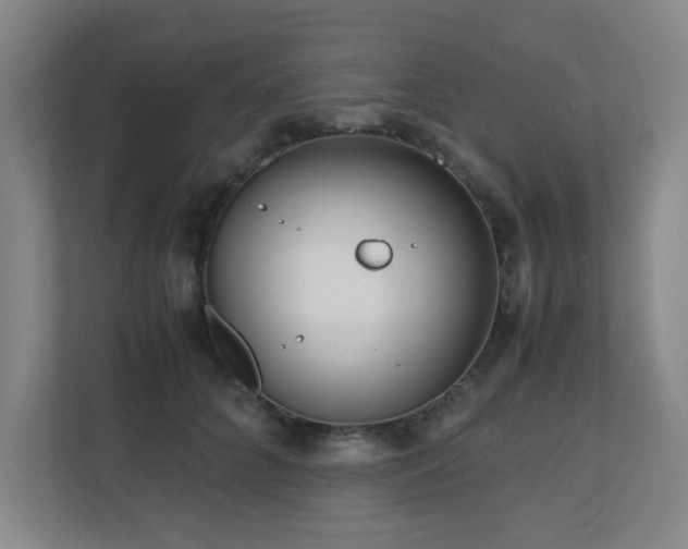 X0000110770704200906151326