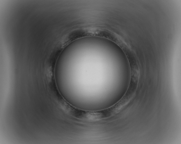 X0000110770707200906151326